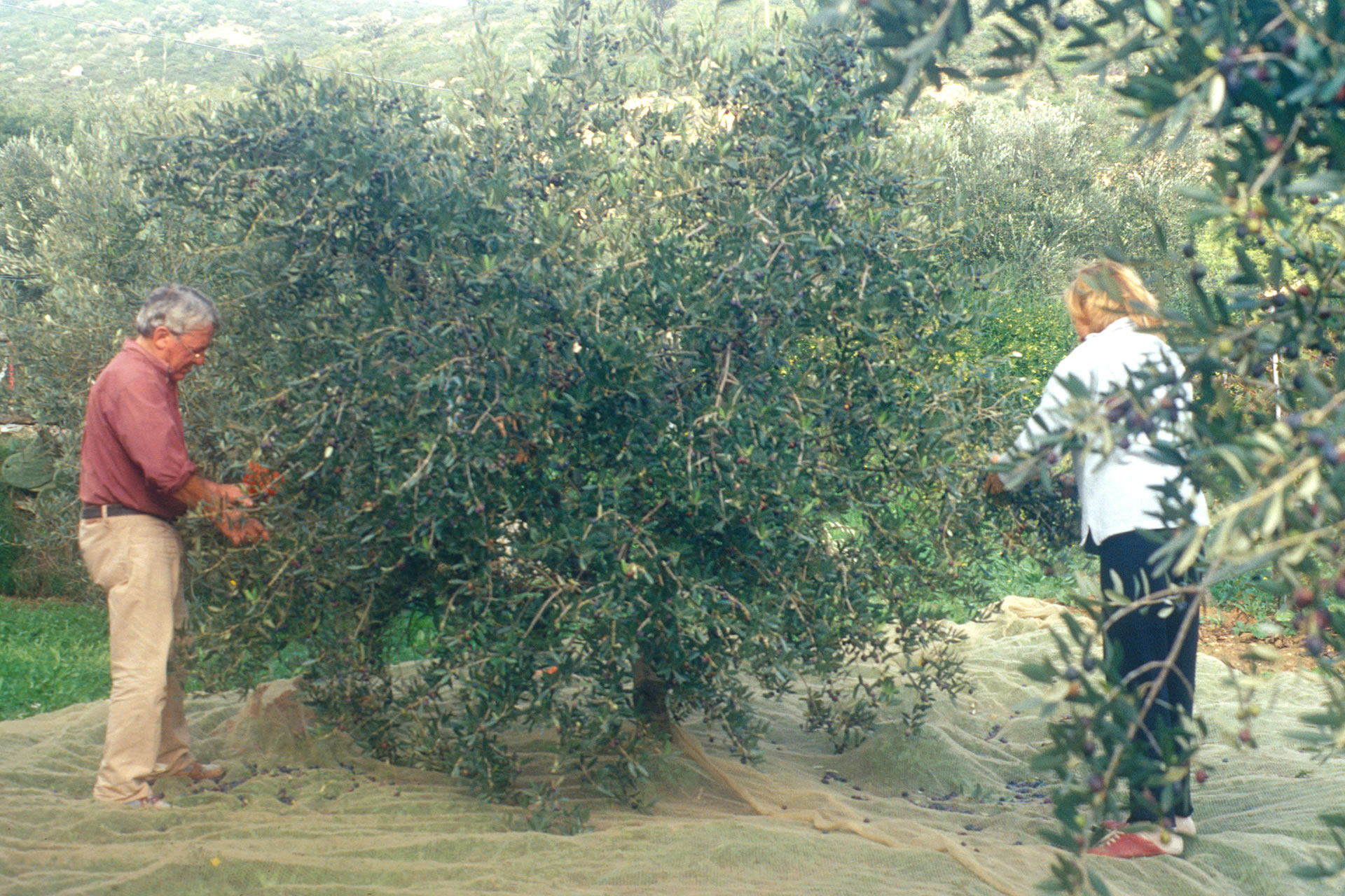 azienda-agricola