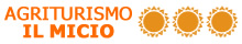 logo-ilmicio